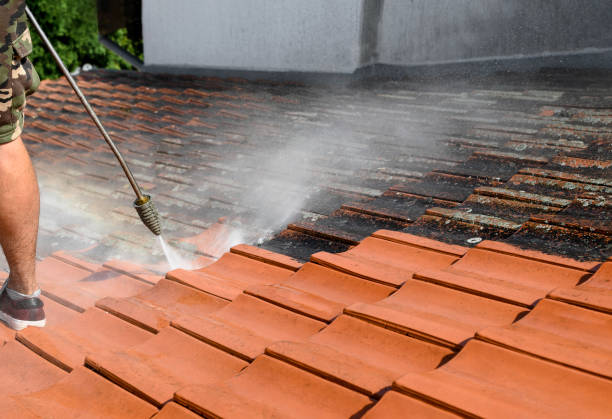 Best Power Washing Near Me  in Argentine, MI