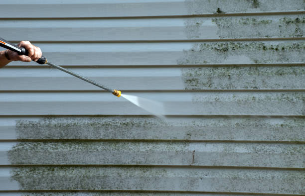 Best Deck Cleaning Services  in Argentine, MI