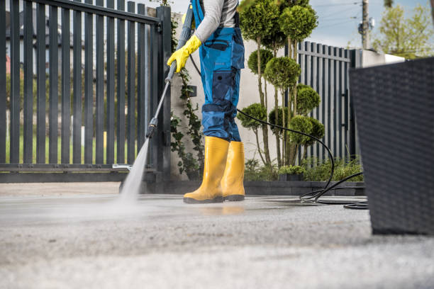 Best Deck Pressure Washing  in Argentine, MI