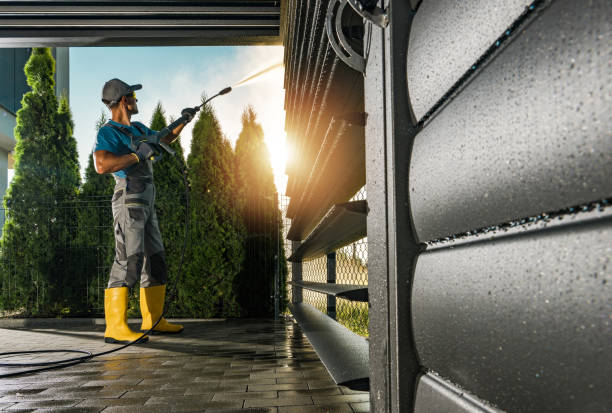 Best Pressure Washing Company Near Me  in Argentine, MI