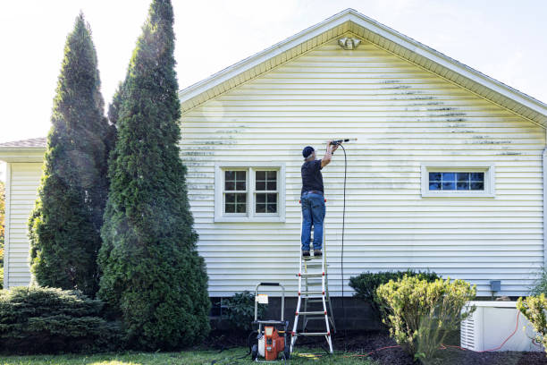 Best Residential Pressure Washing Services  in Argentine, MI