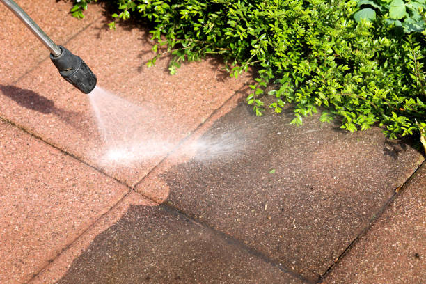 Trusted Argentine, MI Pressure Washing Experts