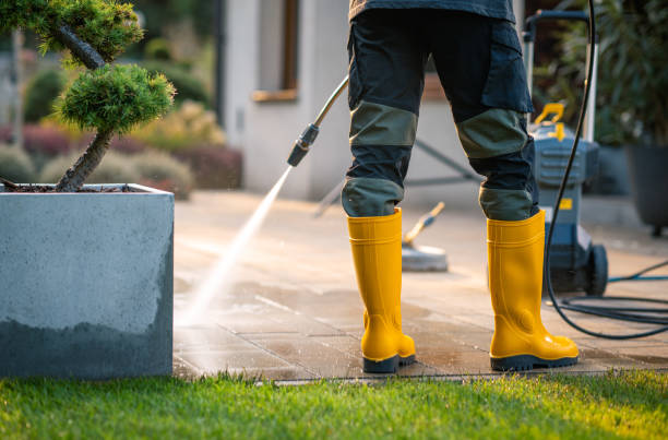 Best Sidewalk Pressure Washing  in Argentine, MI